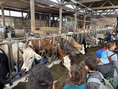 LW_Schule_002