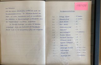 schulfest_033