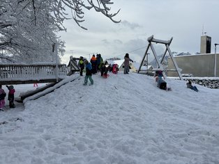IMG_1245