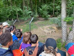 Wildpark_008