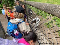 Wildpark_006
