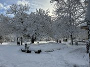 IMG_1249