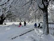 IMG_1250