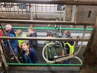 bauernhof_1b_008