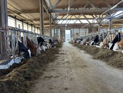 LW_Schule_005