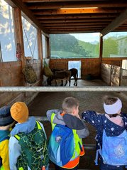 IMG_0673