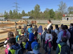 LW_Schule_011