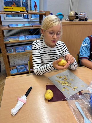 kartoffelgulasch__4_