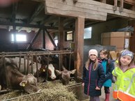 bauernhof_1b_003