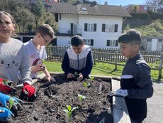 Josefsgarten_3a_006